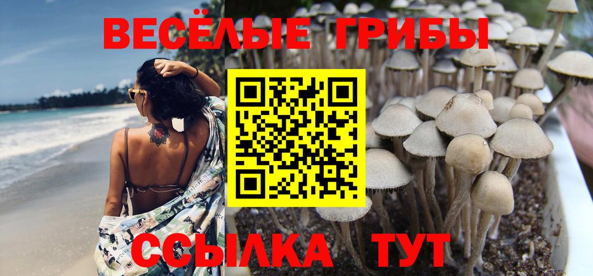 Орехово-Зуево  Псилоцибиновые грибы мухоморы  Вход с VPN 